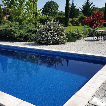 Logement Avec Piscine, Classe 3 Etoiles, De 42 M2 Tout Confort Au Calme Pour Un Couple 卡于扎克叙尔韦尔 外观 照片